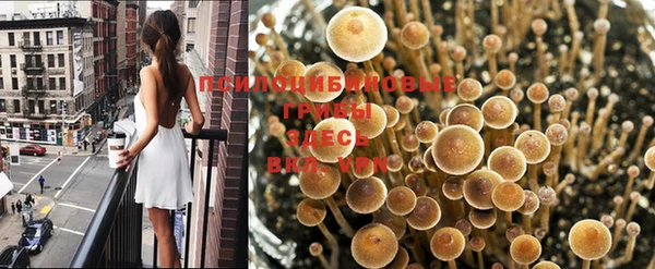 амф Красноперекопск