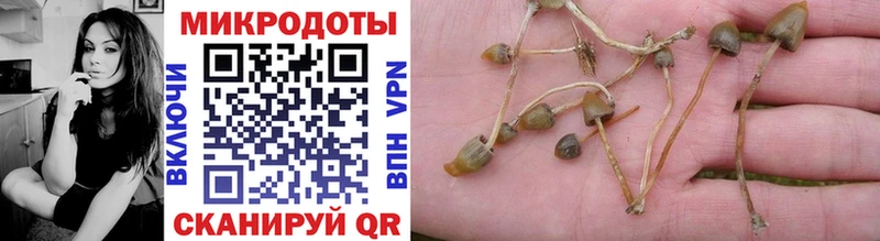 omg как зайти  shop телеграм  Псилоцибиновые грибы прущие грибы  Горячеводский 